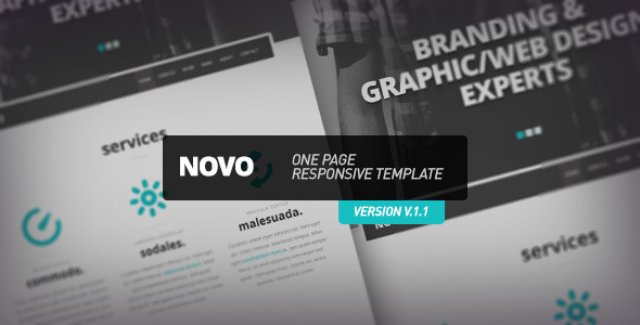 Novo - One Page Responsive Template - HTML & Others :: Themeforest